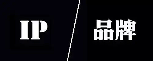 零号时光在中联律师事务所进行短视频教学
