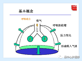 什么是 bipap【科普】呼吸累了吗？---Bipap帮你忙！_https://www.jmylbn.com_新闻资讯_第5张