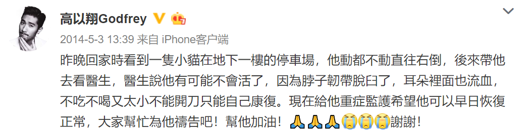 高以翔走了，這隻6歲的狗狗再也等不到它最溫柔的主人了…… 寵物 第15張