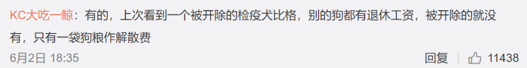 原來軍犬退役後，有退休薪水，按月發肉幹...實名制羨慕了！ 寵物 第11張