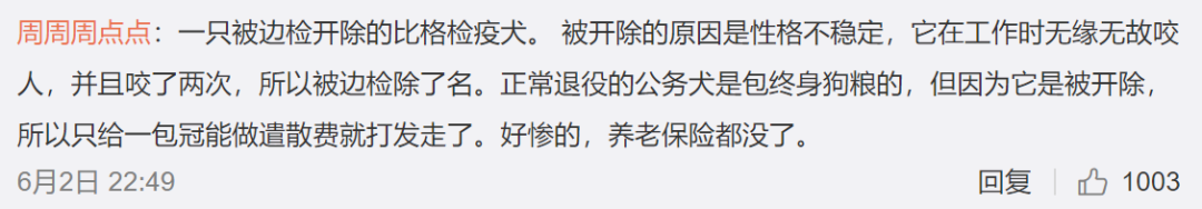 原來軍犬退役後，有退休薪水，按月發肉幹...實名制羨慕了！ 寵物 第12張