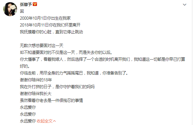 張馨予發文看哭網友：謝謝你陪伴我長大，永遠愛你... 萌寵 第10張