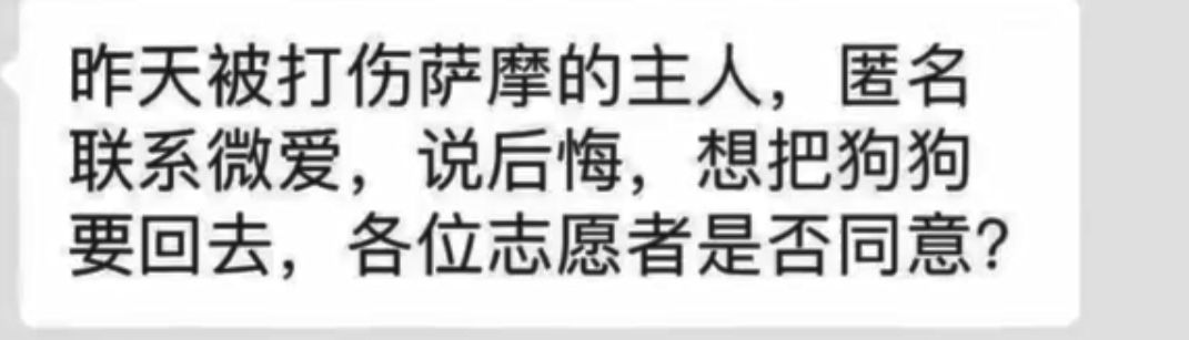 薩摩被虐打的慘叫，遍體鱗傷！你可以不愛，但請不要傷害 寵物 第8張