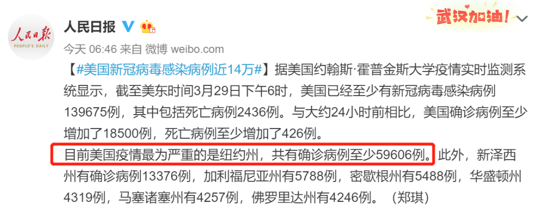 不止是搶衛生紙！疫情下的紐約民眾，還紛紛跑去收容所裡搶狗狗... 寵物 第1張