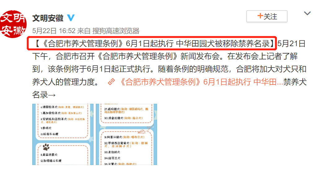 「你的支持有結果啦！」國家明確家養畜禽範圍不包含狗，狗肉將被禁食！ 寵物 第5張