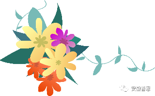 产妇冰垫怎么用“丝蜜小主”医用冰垫--会阴冷敷垫即将上市！_https://www.jmylbn.com_新闻资讯_第6张