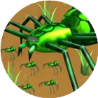 应用icon-昆虫探索世界2024官方新版