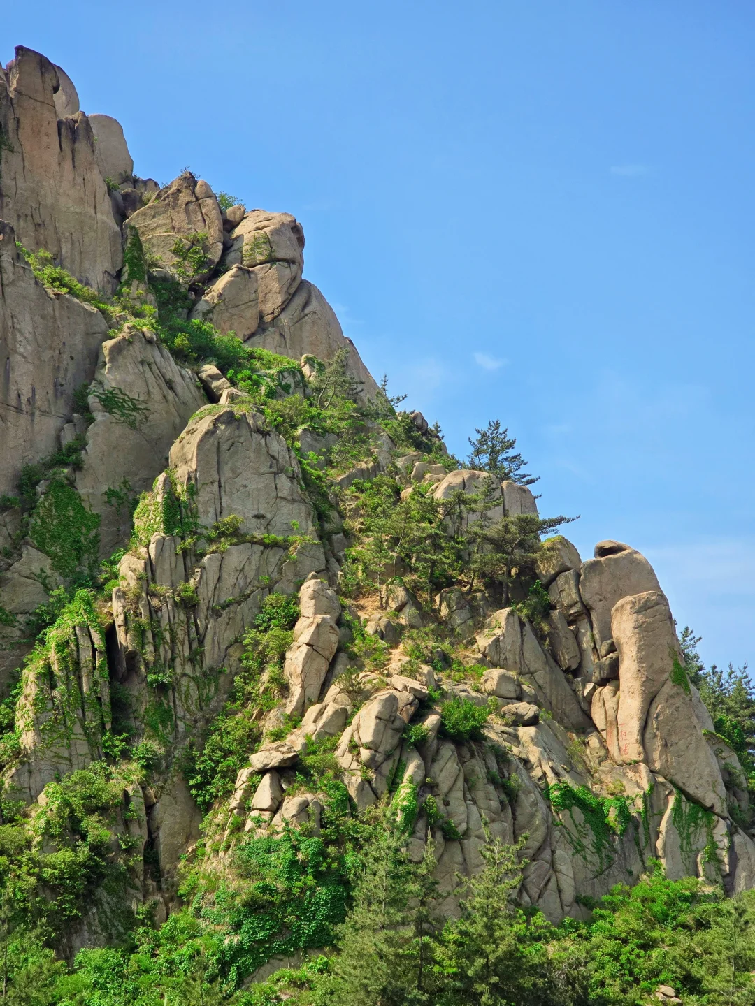 周中登山【徒步山野】10.14 望海猴--三界石-华楼山（目的地集合版） | FUN青岛