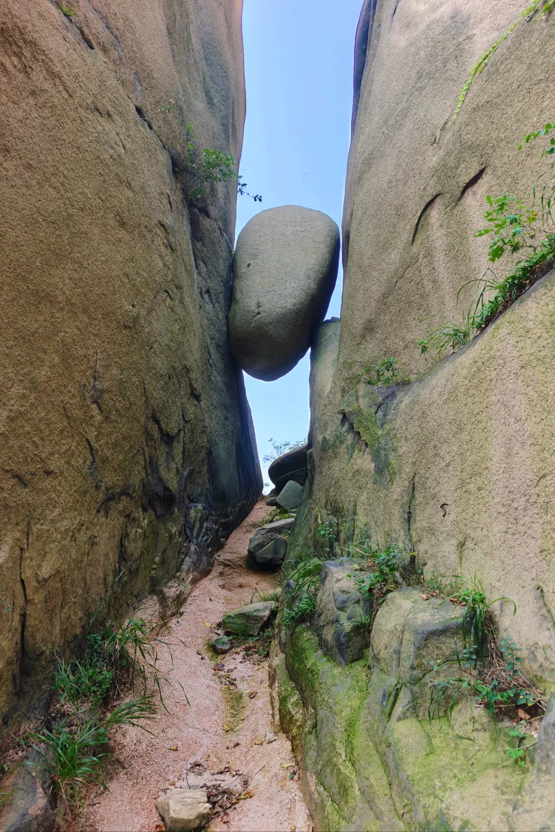 周中登山【徒步山野】10.14 望海猴--三界石-华楼山（目的地集合版） | FUN青岛