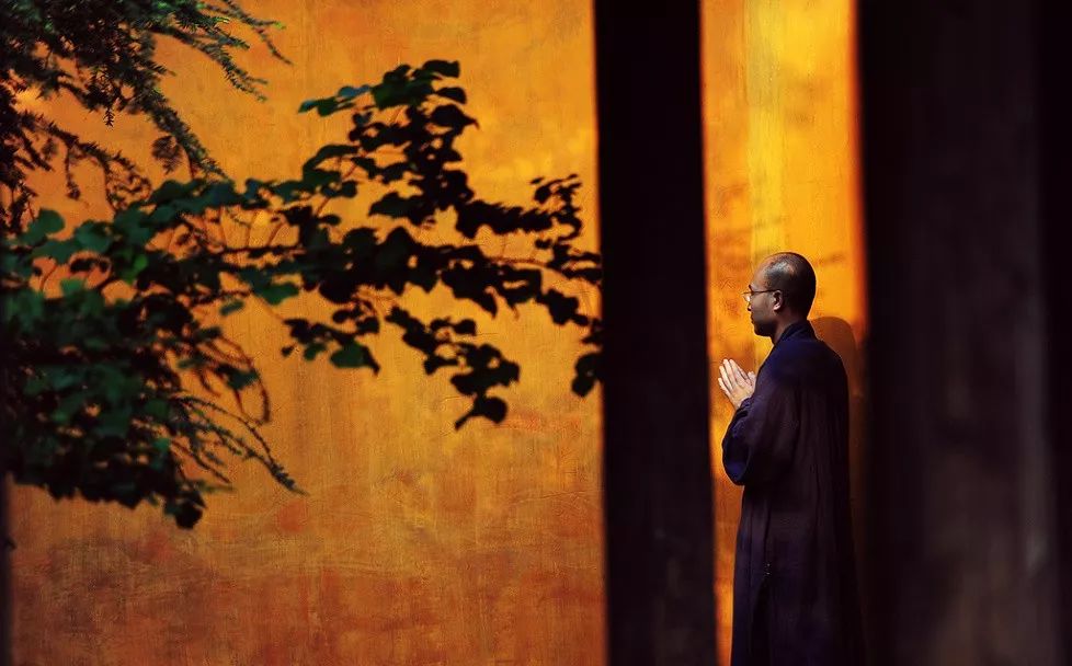 心若善良，步步生香