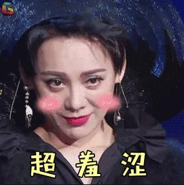 黄轩妹妹黄雅丽_金星参加的真人秀是什么_金星秀黄轩