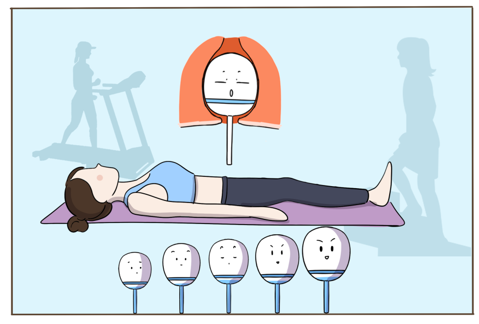 医师信赖,女性喜爱,它就是凯格尔运动