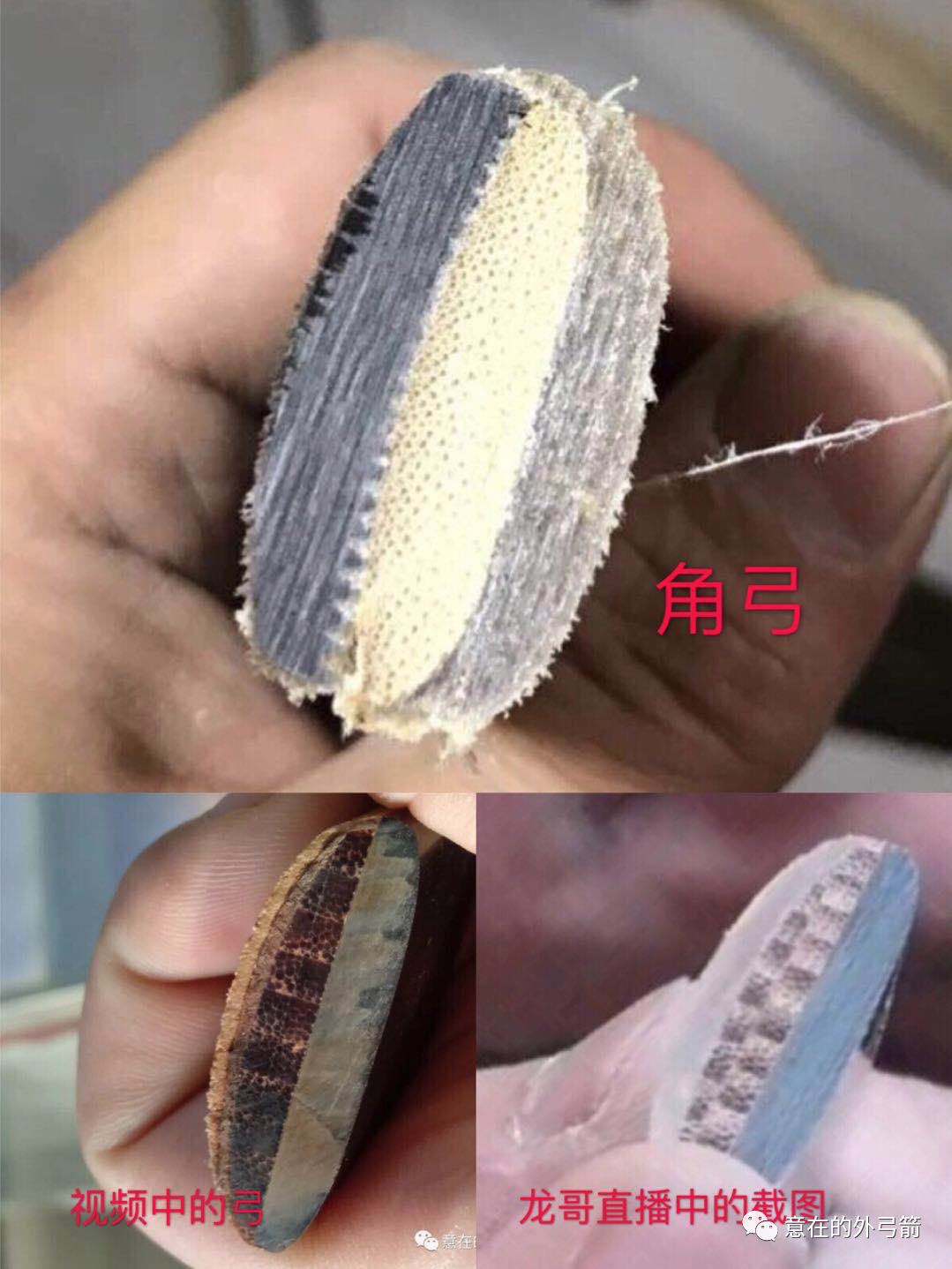 解密 改良角弓 热带龙 角弓 拆解记 意在的外弓箭 微信公众号文章阅读 Wemp