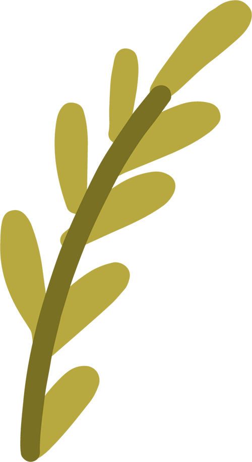 大连最新公告：生日当天免费！(2)