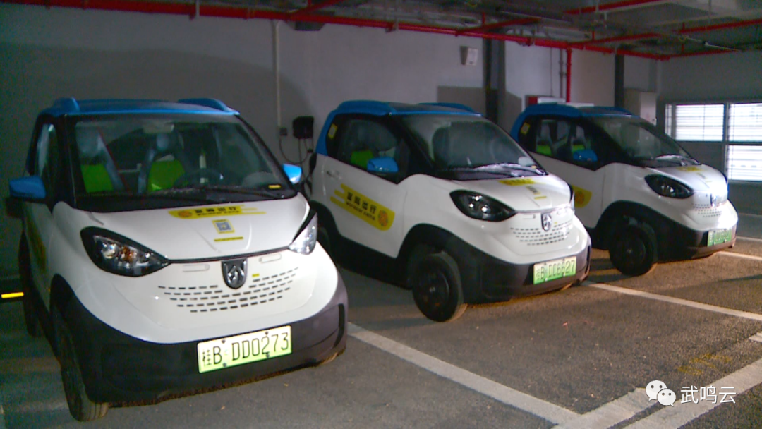 快来体验共享汽车正式投入使用