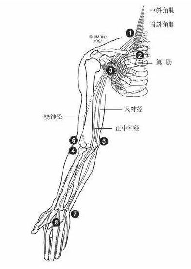 常见运动损伤之尺神经卡压综合征的探讨 马智工作室 微信公众号文章阅读 Wemp