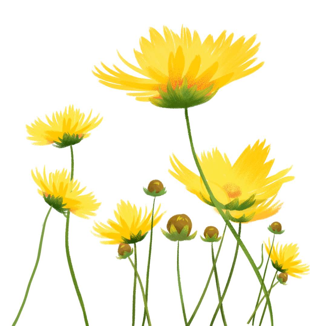 阿嚏 阿嚏 阿嚏 五一出游小心被 花粉症 盯上 焦作广播电视台