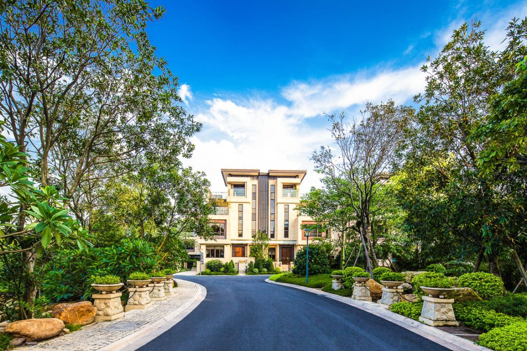 番禺市桥天颐华府独栋别墅260~396㎡