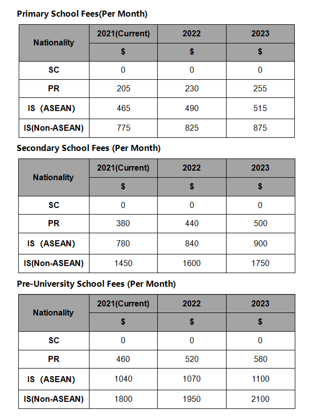 新加坡政府学校与国际学校对比