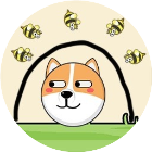 救救狗狗肿了么