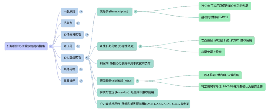 妊娠3.png