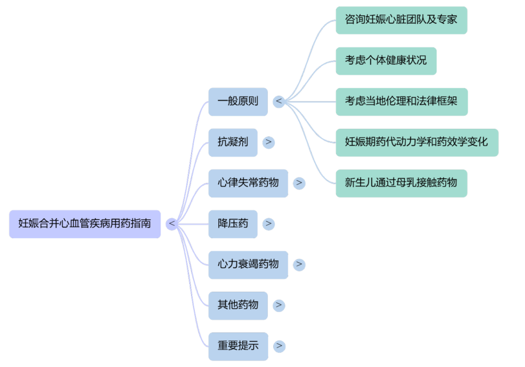 妊娠1.png