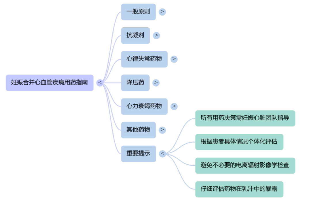 妊娠7.png
