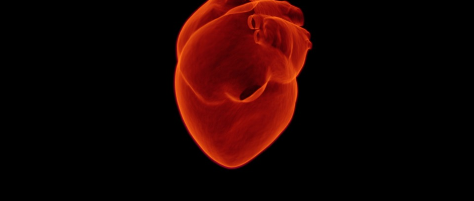 早读 | 心衰超声心动图，应该了解的重要知识，一文汇总！