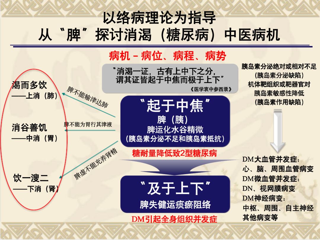 中西醫對糖尿病發病機制的認識補益絡氣,健脾運津——研製津力達顆粒