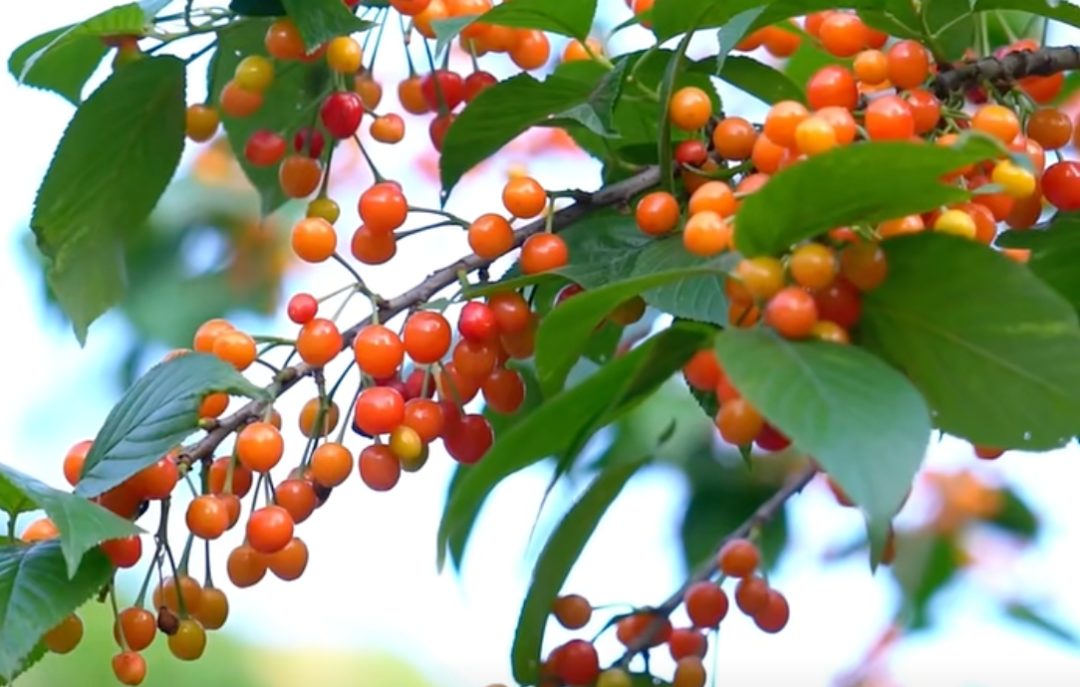 即将通高铁！几乎无攻略的冷门小城，碳水比西安地道，靠美食也该火了！