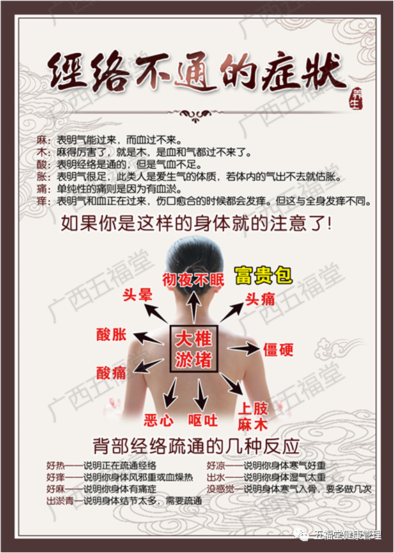 经络治疗仪什么牌子好五福堂：第九代微电脑脉冲治疗仪+新一代经络穴位手，专治颈肩腰腿痛！！！_https://www.jmylbn.com_新闻资讯_第9张