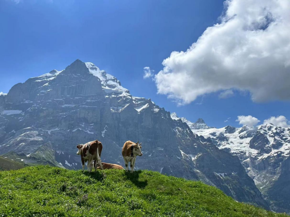 亲测！瑞士少女峰地区全新玩儿法！