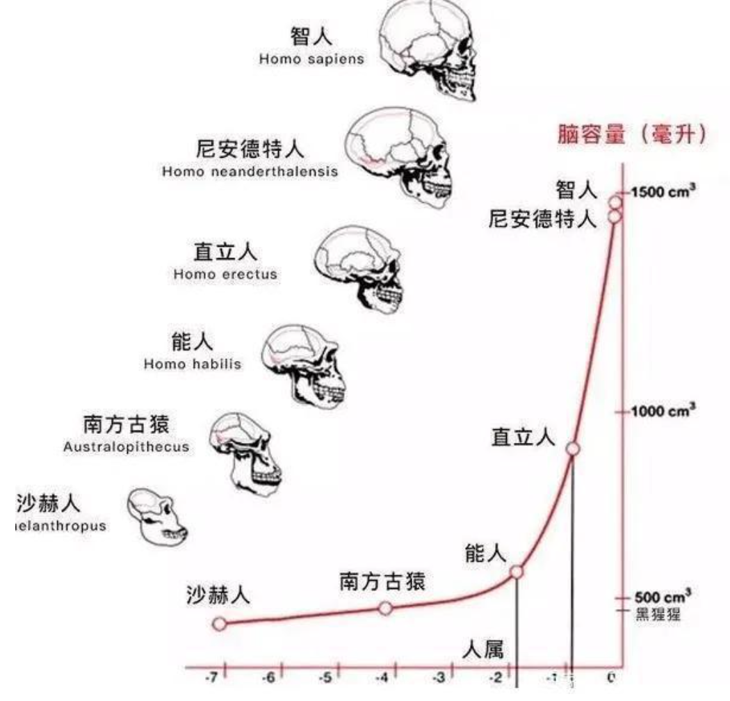 馮學榮:為什麼說北京人,元謀人,藍田人,都不是中國人的祖先?