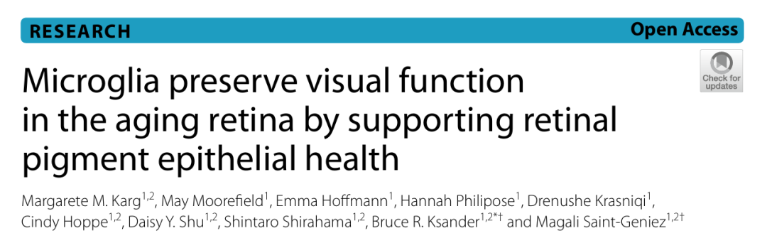 【文章分享】当视网膜衰老，小胶质细胞如何力挽狂澜？