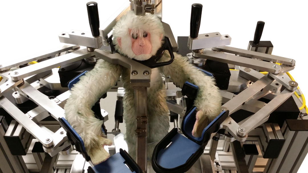 【喜讯】格罗贝尔携手加拿大Kinarm，拿下 NHP 认知功能评估与训练系统中国独家代理