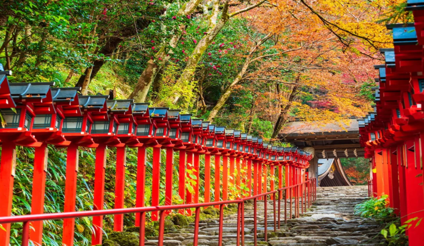 Japan Fall Foliage Guide ： 14 Top Spots & Peak Dates