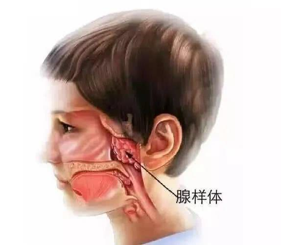 纤维喉镜怎么检查【科普】儿童做纤维鼻咽喉镜检查，莫慌！_https://www.jmylbn.com_新闻资讯_第2张