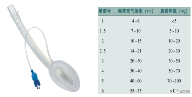 喉罩是什么【宣教】关于喉罩的那些事_https://www.jmylbn.com_新闻资讯_第5张