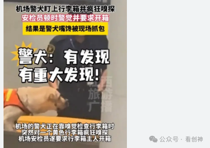 警犬盯上行李箱疯狂嗅探 结果是馋了来回嗅了嗅，还轻轻摇着尾巴