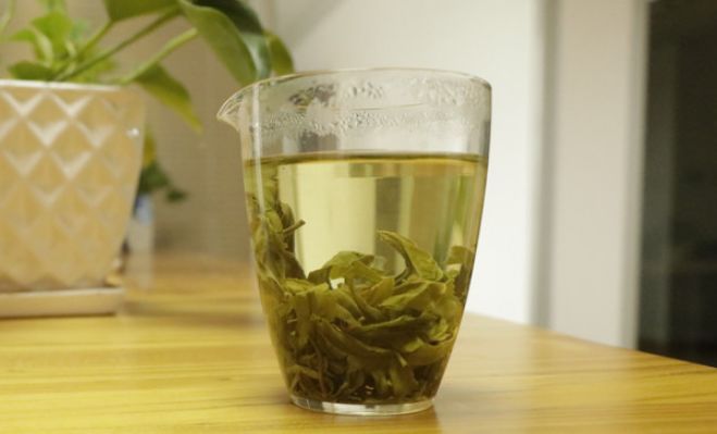 又是一年春茶季_【官网】|孝感市孝南区浐川茶场|浐川茶场|浐川龙剑|龙剑茶|孝感有机茶|_浐川茶场_浐川龙剑_龙剑茶_孝感有机茶