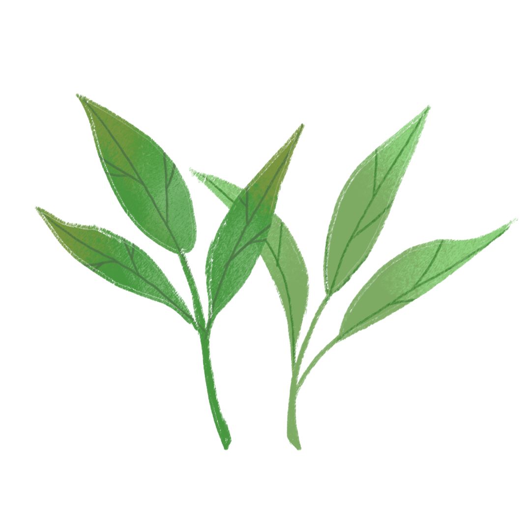 不饮春茶，怎知春光已至？