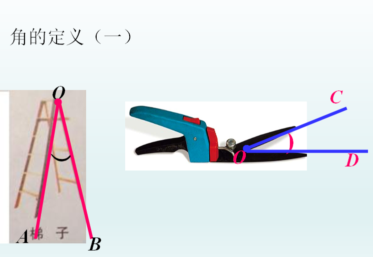 七年级数学全册教案_七年级数学教案下载_七年级上册数学教案下载