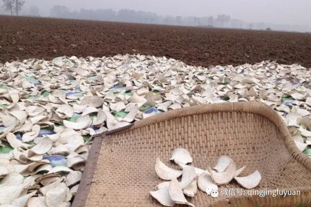 ������ļ��䣺��������