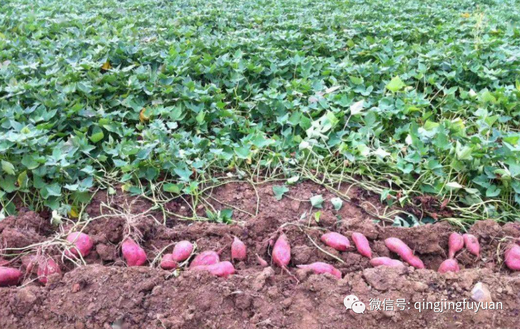 ������ļ��䣺��������