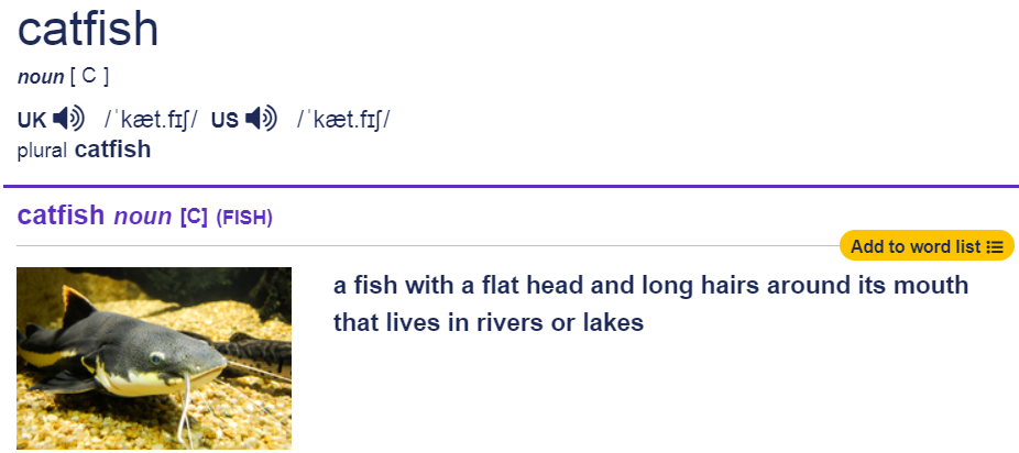 意思是破碎的字_pond是什么意思_amypond