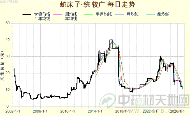 蛇床子降至“低位” 后市能否迎来反转？