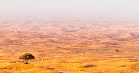 沙漠與海洋共存，有獨特的自然風光也有屬於自己的浪漫情調，多面杜拜，不止是壕！ 旅遊 第13張