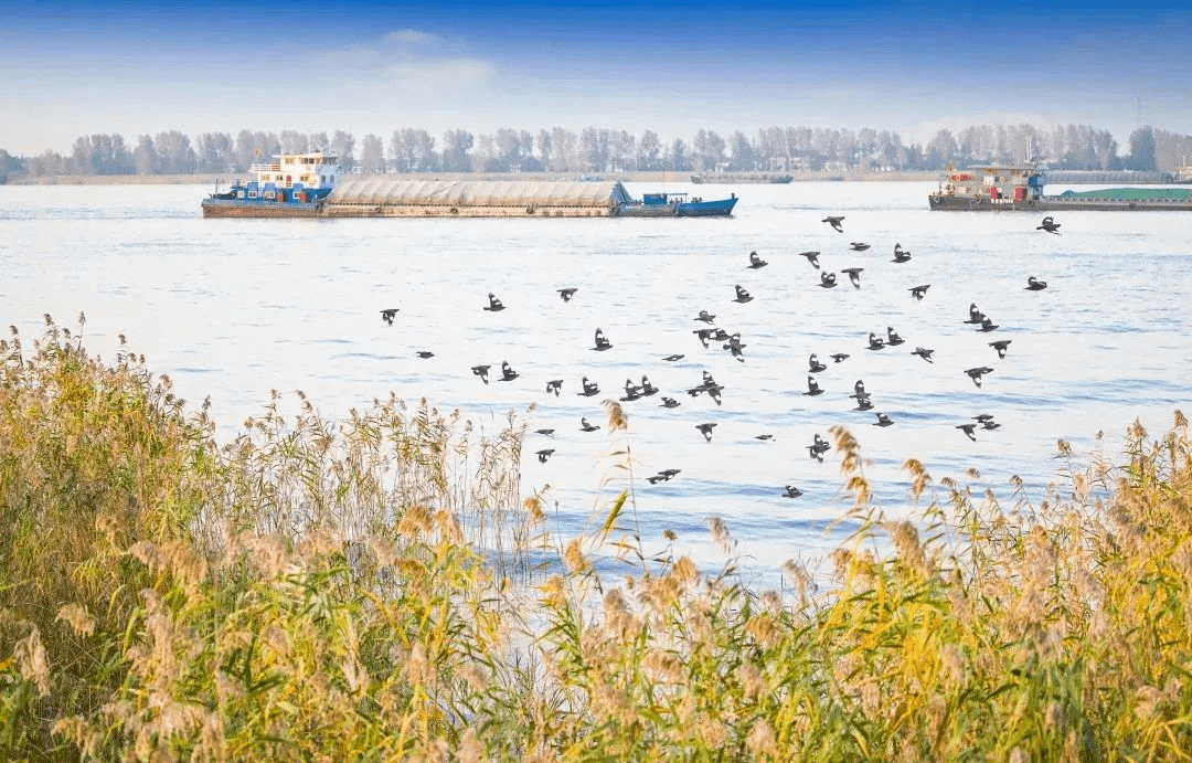 湿地.png