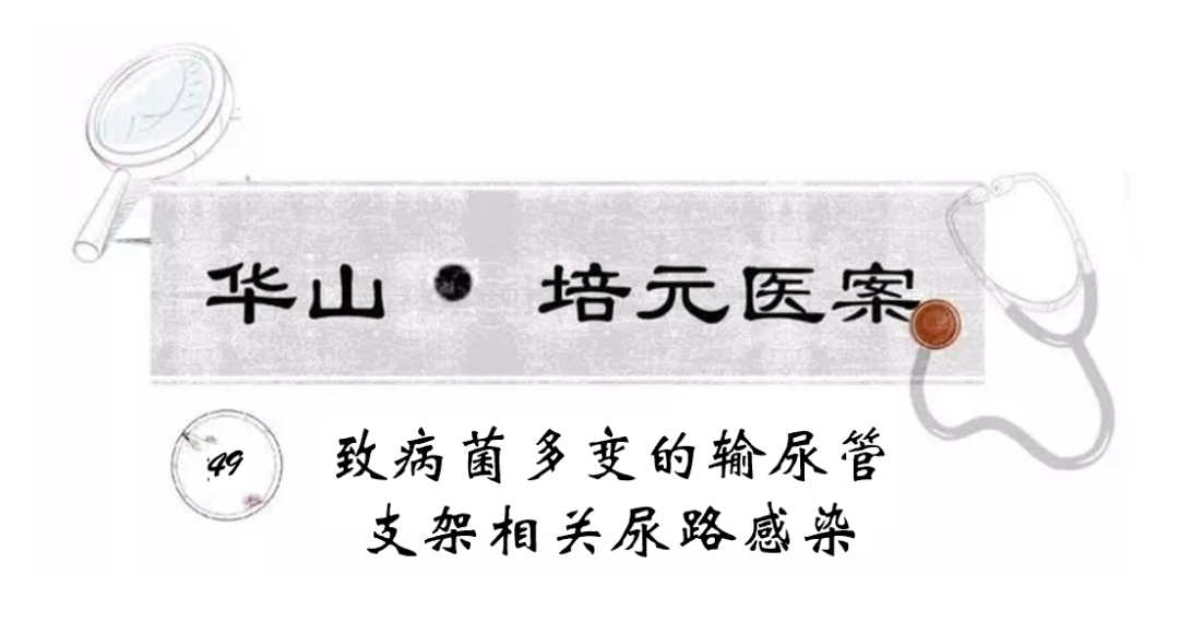 尿路支架什么牌子好致病菌多变的输尿管支架相关尿路感染-上海聚慕医疗器械有限公司