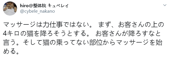 網友開了一家按摩店，想不到卻被7隻貓搶走了生意，太慘了！ 寵物 第4張